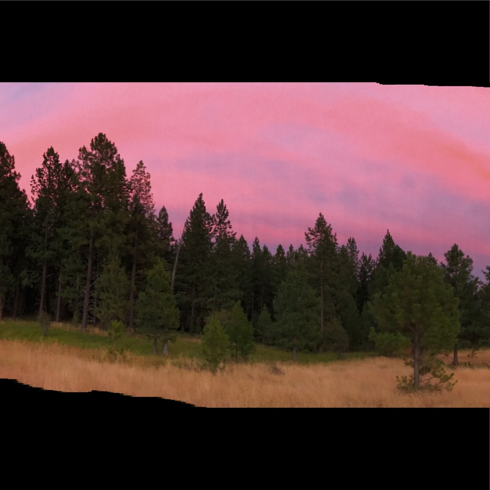 Meet your Posher, Wendy